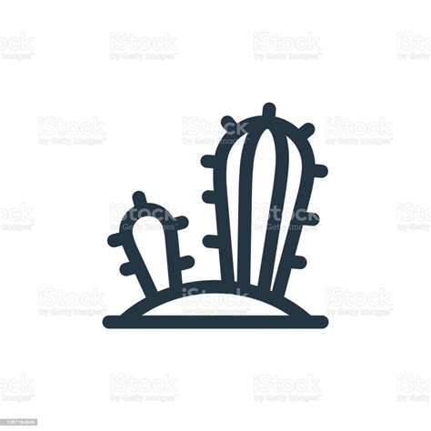 Cactus Vector Icon Isolated On White Background Outline Thin Line