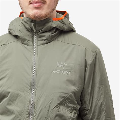 Arc Teryx Atom Lt Hooded Jacket Forage End Jp