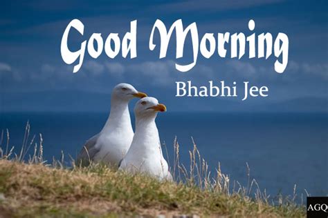 Good Morning Bhabhi Ji Pics Wallpapers Photo Shayari