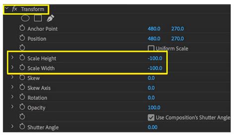 Different Ways On How To Flip Video In Premiere Pro