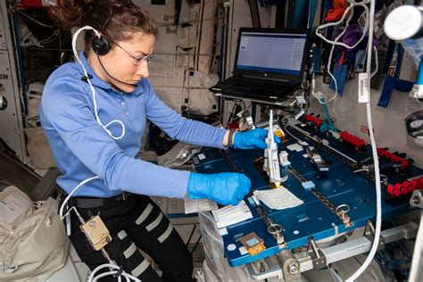 flight engineer christina koch works   genes  space flickr