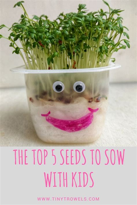 The Best Seeds To Sow With Kids To Get Them Busy In The Garden Seed