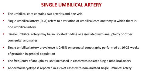 Prenatal Diagnosis Of Type II Single Umbilical Artery 57 OFF