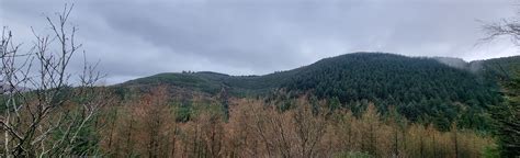 Rostrevor Forest And Slieve Martin Circular Newry Mourne And Down