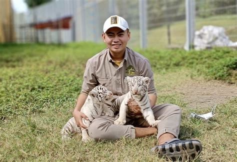 Hổ Bengal: Thông tin chi tiết & Câu chuyện bảo tồn thú vị