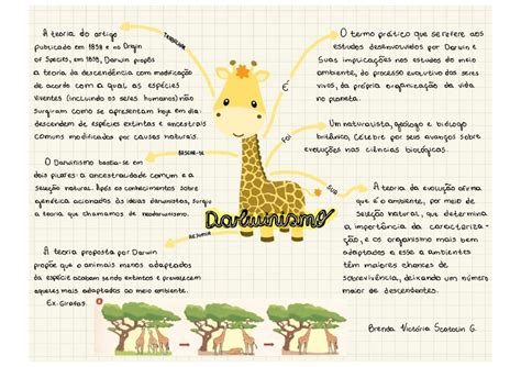 Darwinismo Social Mapa Mental - Mapas Mentais sobre DARWINISMO - Study Maps