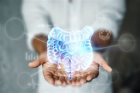 Akkermansia Muciniphila Probiotic Benefits For The Gut Mucosal Lining