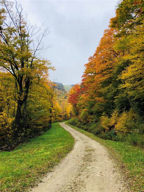 Connecticut State Library... - Connecticut State Library