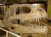 Giganotosaurus | Fossil Wiki | FANDOM powered by Wikia