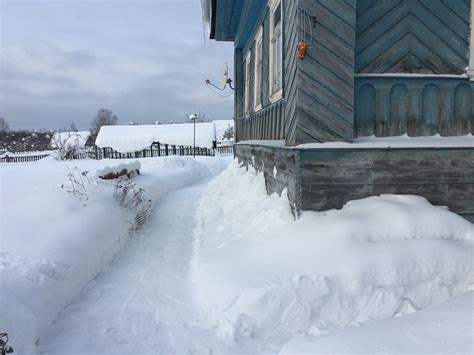 Жизнь горожанки в деревне: (-17) С Новым Годом, друзья!!!
