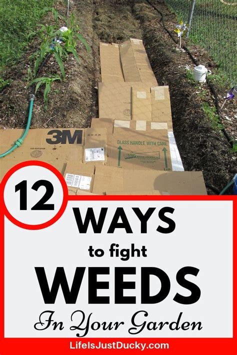 How To Clear Weeds Out Of Flower Beds Artofit