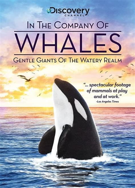 In The Company Of Whales The Movie Database Tmdb