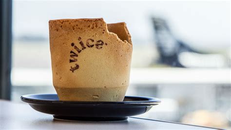 edible packaging  plastic replacement innovation  businesses
