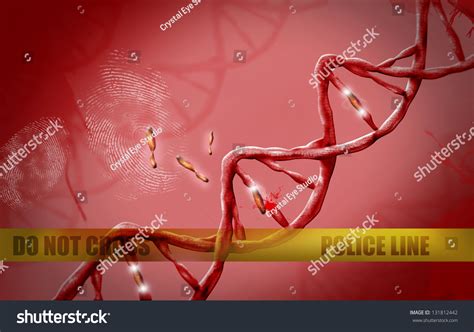 Crime Scene And Investigation Concept Dna Strand With Fingerprint And