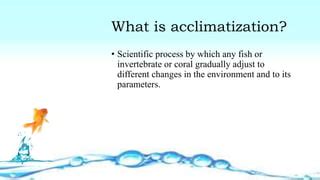 Fish Acclimatization and Adaptation.pptx