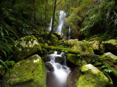 How to find the best waterfalls in Lamington National Park - JUST BUY LOCAL