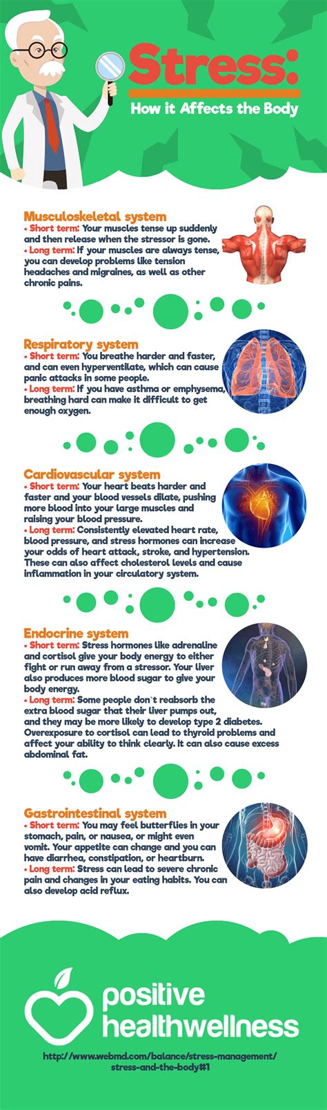 TED Talk How Stress Affects Your Body Vital Assurance