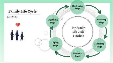 Family Life Cycle Chart