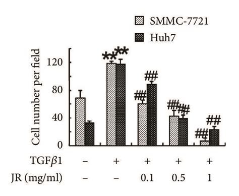 JR inhibits TGFβ1 induced migration and invasion of HCC cells The