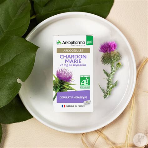 Arkopharma Arkogélules Chardon Marie Bio Complément Alimentaire