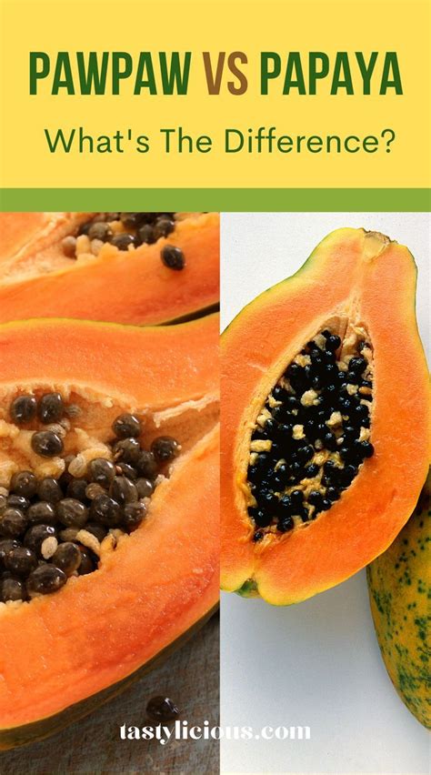 Difference Between Pawpaw Vs Papaya How To Use Papaya And Pawpaw