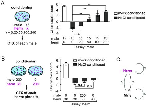 Hermaphrodite Density Is Critical For Sexual Conditioning A The Download Scientific Diagram