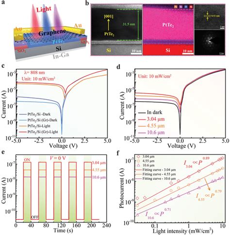 Ptte Si Schottky Junction Photodetector And Mir Photoresponse A