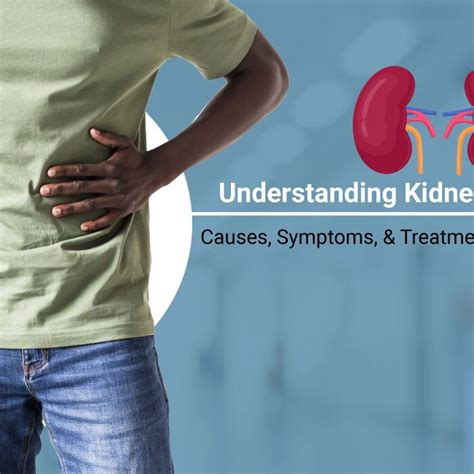 Understanding Kidney Failure: Causes, Symptoms, and Treatment Guide ...