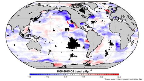 Climate Change Is Causing The Dissolved Oxygen In World's Oceans To ...