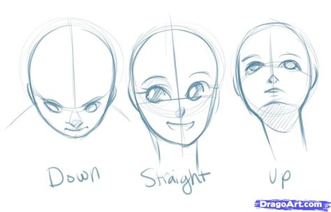 How To Draw Manga Heads Step 3 Manga Drawing Nose Drawing Guided