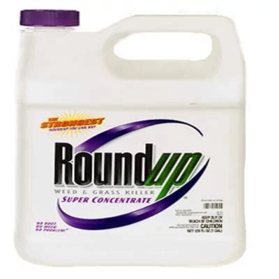 Roundup Super Concentrate Weed Grass Killer 1gal Sam S Club