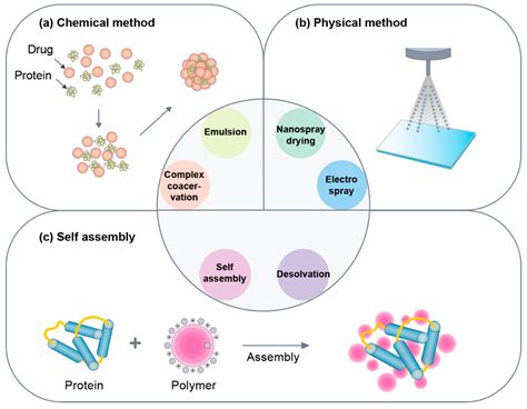 Pharmaceutics Free Full Text Protein Based Nanoparticles As Drug