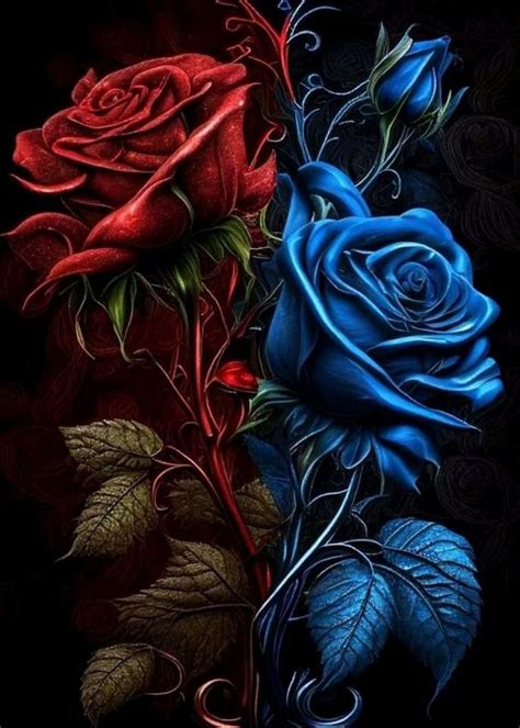 Hd In Blue Roses Wallpaper Fire And Ice Roses Rose Flower