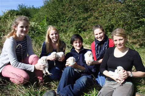 Barn Owl Breeding Success - Conservation Ecology Group @ Durham University