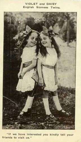 THE HILTON SISTERS - Chained For Life