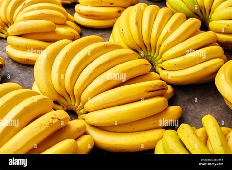 Bunch Of Yellow Bananas