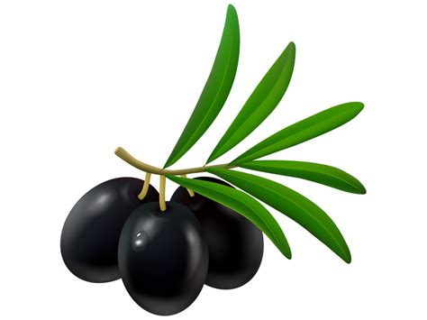 Black Olives Png Transparent Image