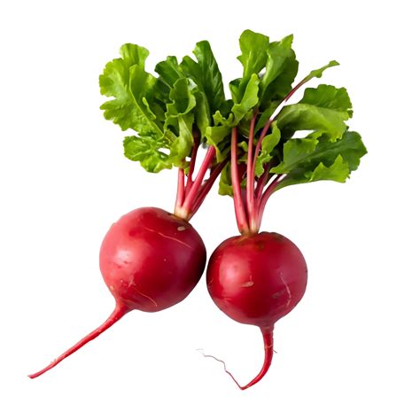 AI generated Two pieces of fresh radish isolated on white or