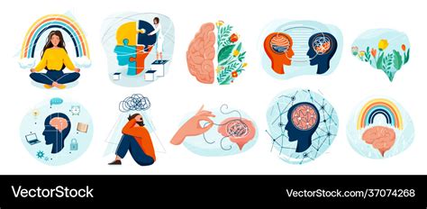 Plant Physiology Vector Images (over 410) 