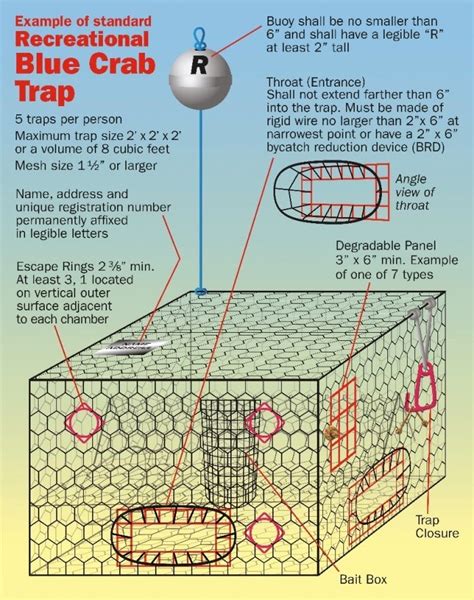 Keep Crabs In And Terrapins Out Fwc Rule For Recreational Crab Traps