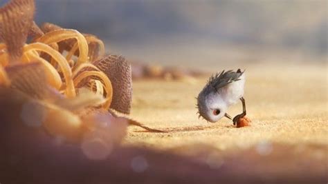 Piper: 12 Things to Know About New Pixar Short Film