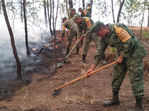 Aplican Plan Dn Iii En Tejupilco Por Incendio En El Cerro De Mazatepec