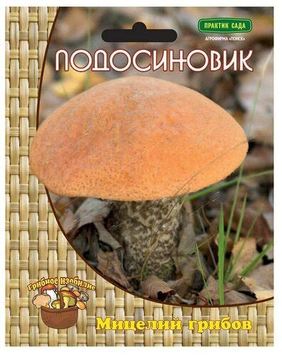 Подосиновик (мицелий на компосте), шт — купить в интернет-магазине ...