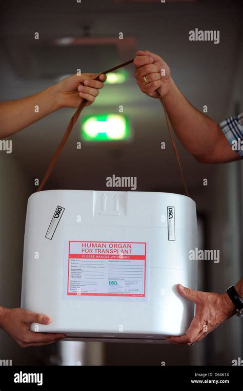 Organ transplantation box hi-res stock photography and images - Alamy
