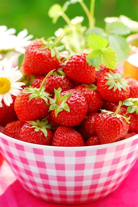 Schüssel frische Erdbeeren stockfoto Bild von nachtisch 14605756