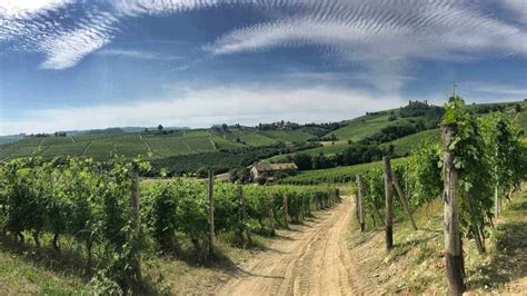 Piemont Wandern Von Weingut Zu Weingut Wanderndeluxe