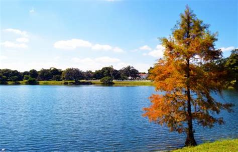 Lake Ivanhoe, Orlando | Ticket Price | Timings | Address: TripHobo