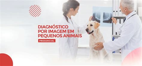 Pós Graduação Veterinária em Diagnóstico por Imagem em Pequenos Animais