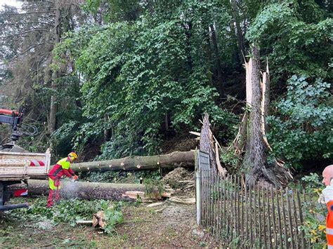 Unwetter bei Schleusingen Baum stürzt auf Bungalow Hildburghausen