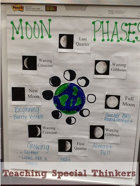 Phases Of The Moon Anchor Chart